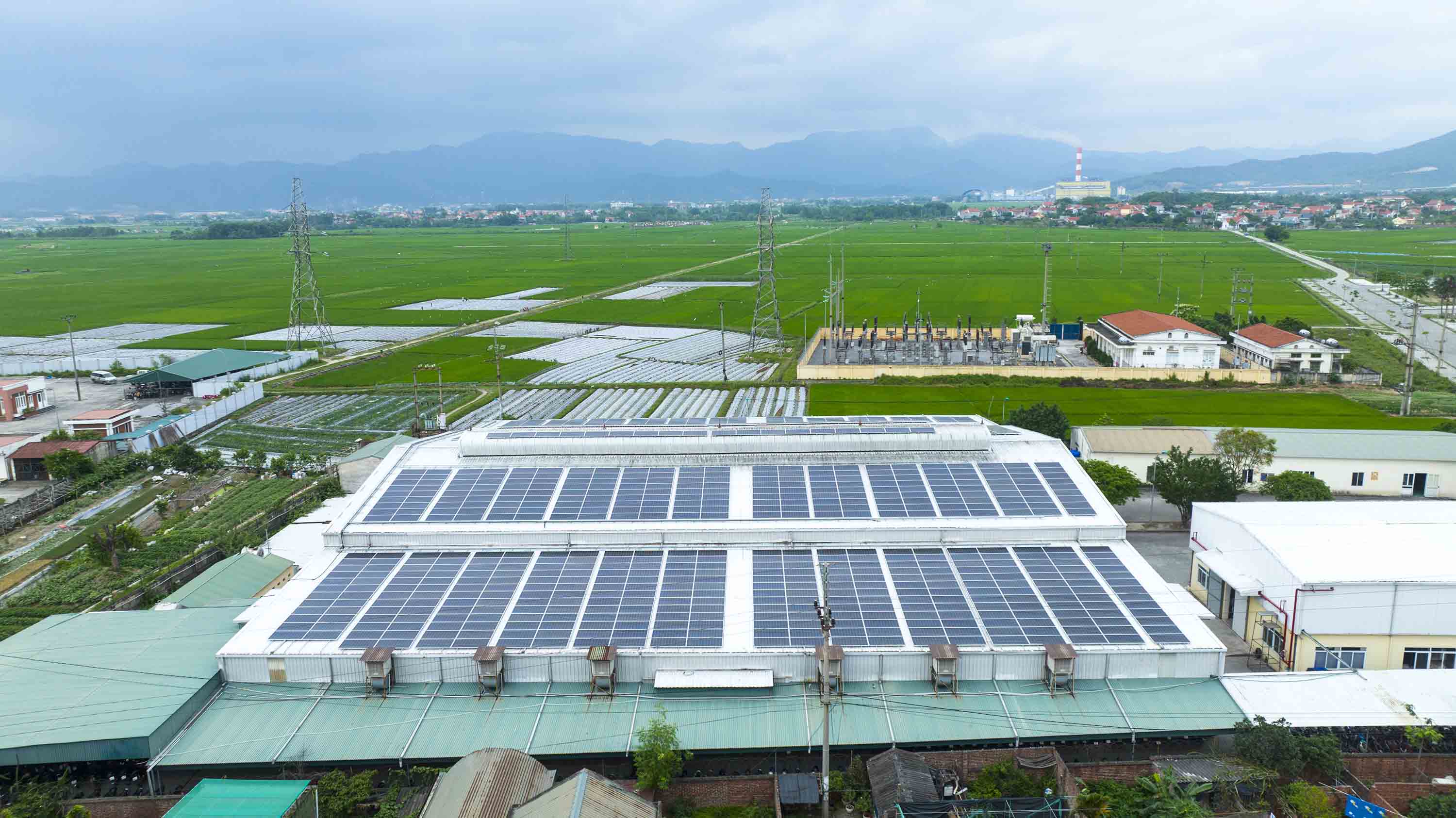 Dự án 1 - Wattora