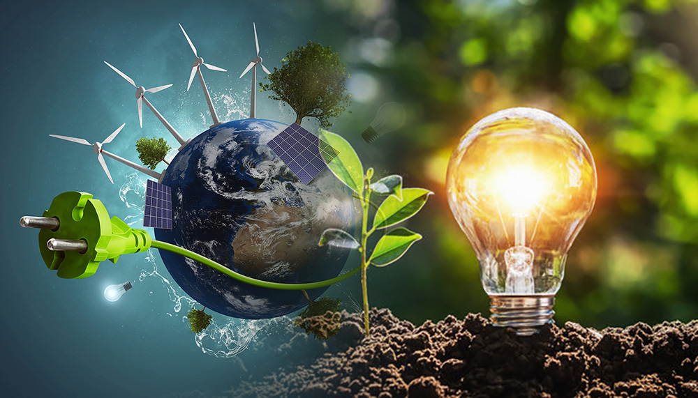 Khi WATTORA Biến Dữ Liệu Thành Sức Mạnh Xanh